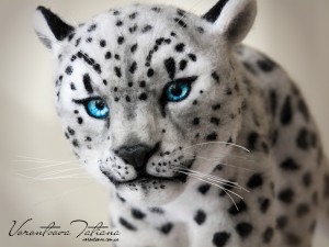 IMG_3338-Edit 