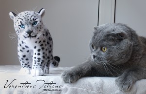 IMG_3360-Edit 