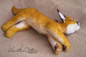 IMG_3384-Edit 