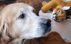 IMG_3410-Edit 