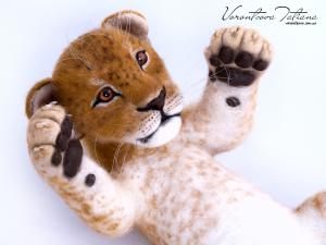IMG_3556-Edit       